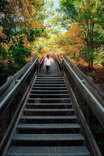 Mesick, MI - Sep 2024